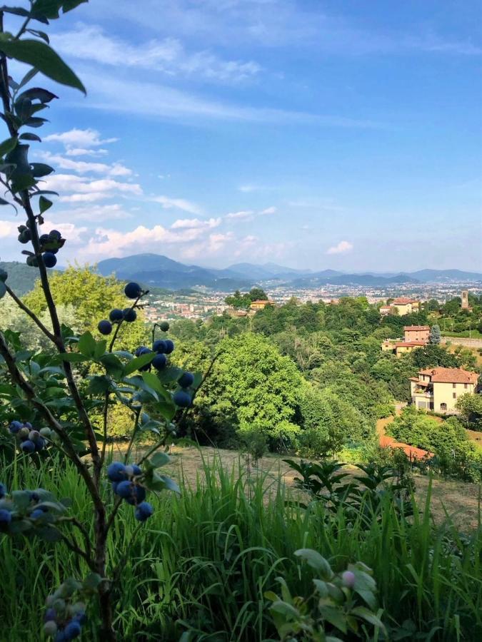 Foresteria Antica Bastia B&B Бергамо Екстер'єр фото